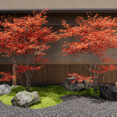  红枫 枫树su模型 