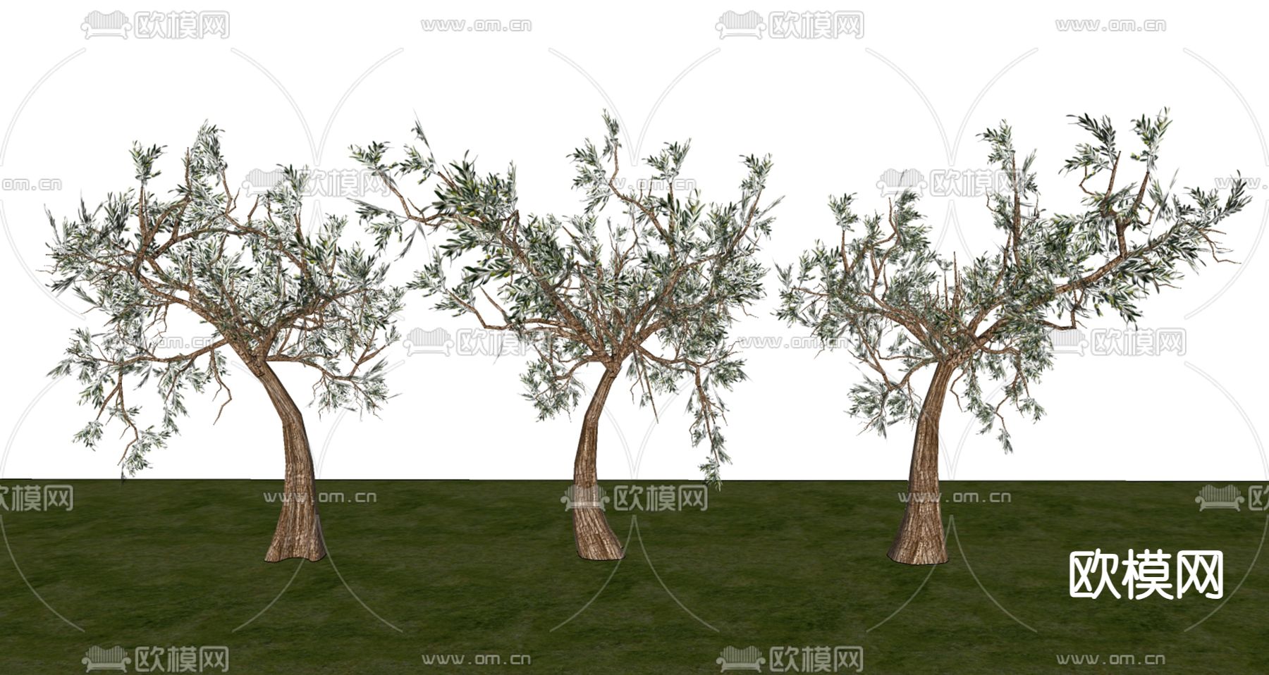 乔木 观赏树 树木su模型下载（渲染图1）