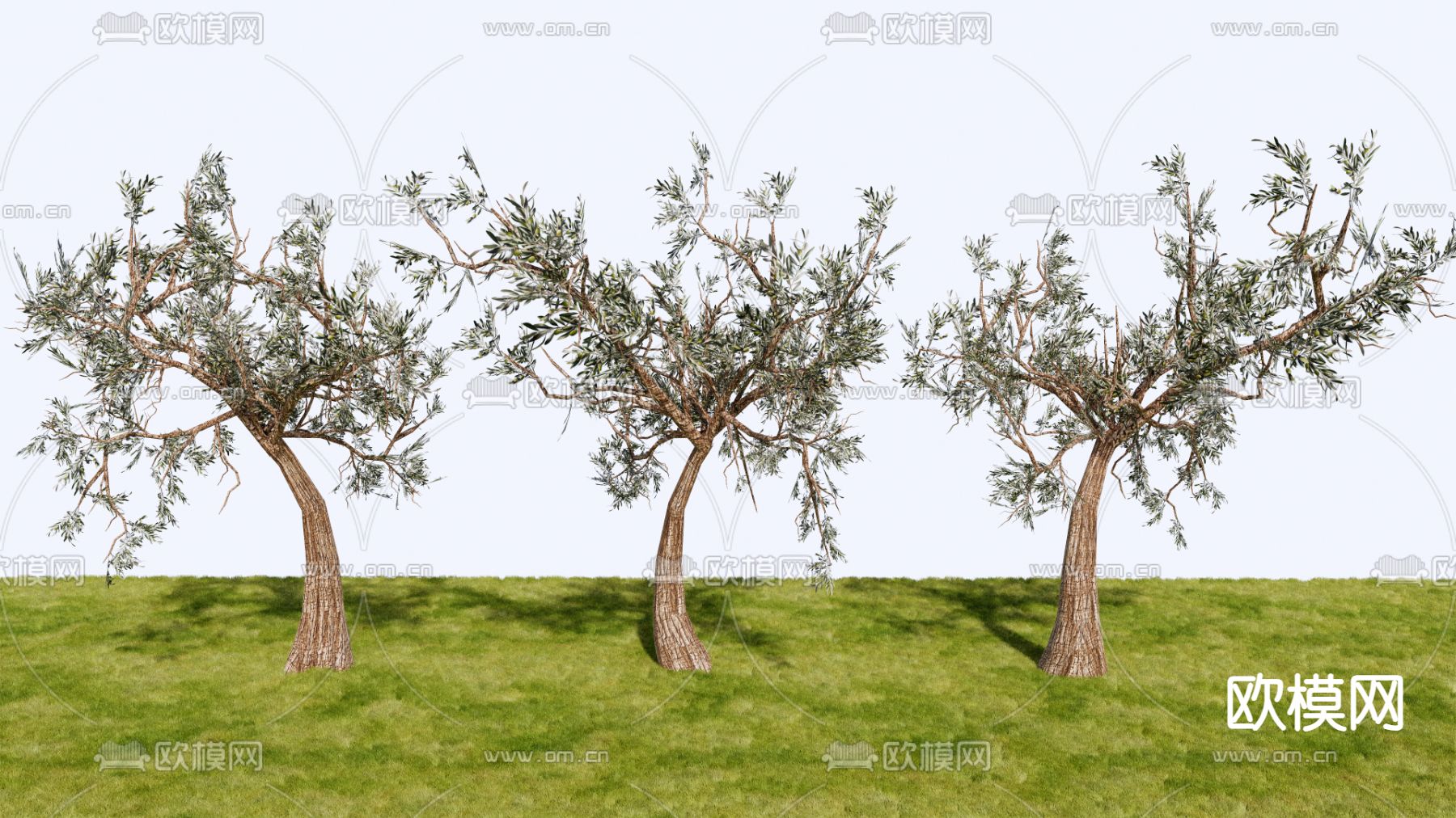 乔木 观赏树 树木su模型下载（渲染图2）