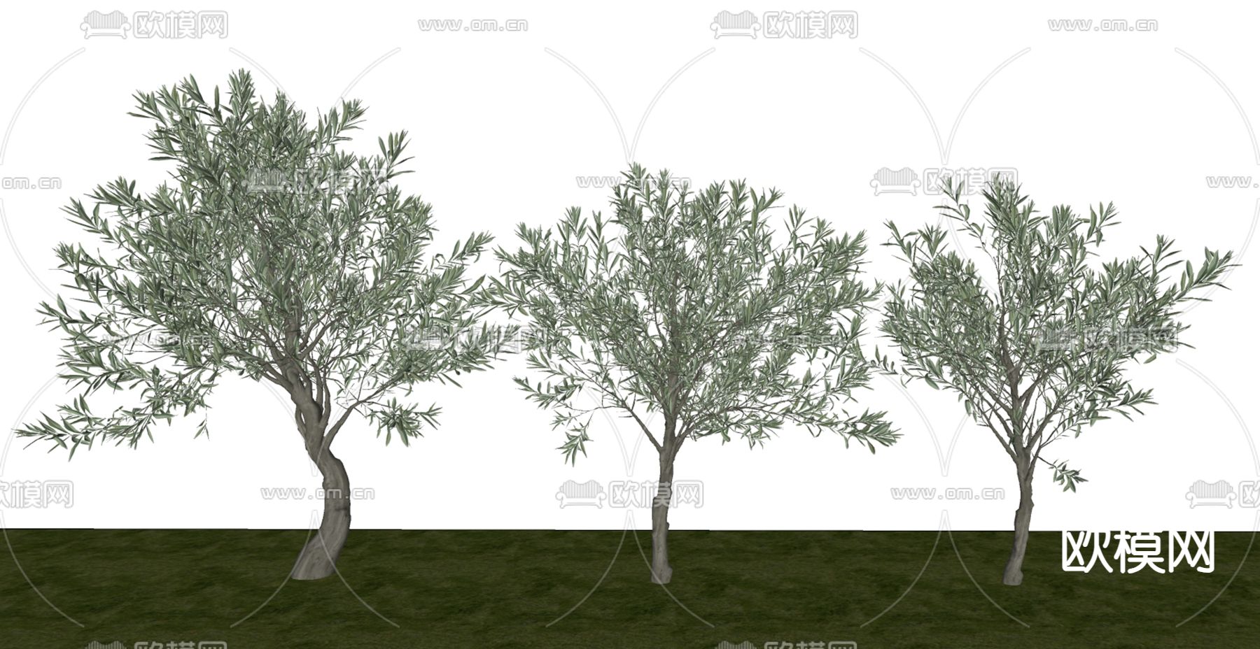 乔木 观赏树 树木su模型下载（渲染图1）