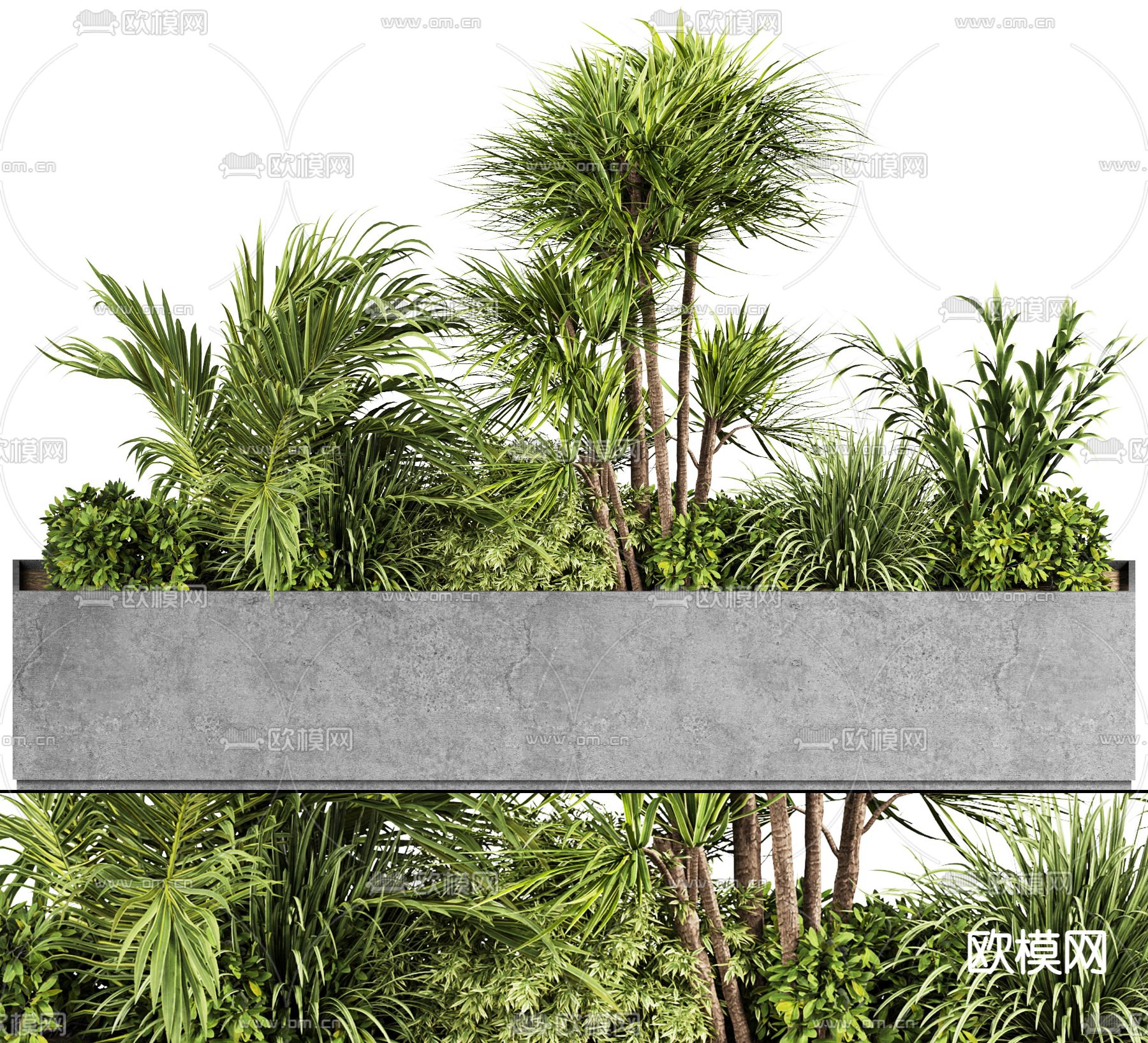 植物堆 花箱 花坛 盆景 盆栽su模型下载（渲染图2）