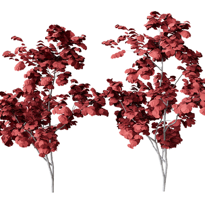  树木 枫叶树 红色树su模型 