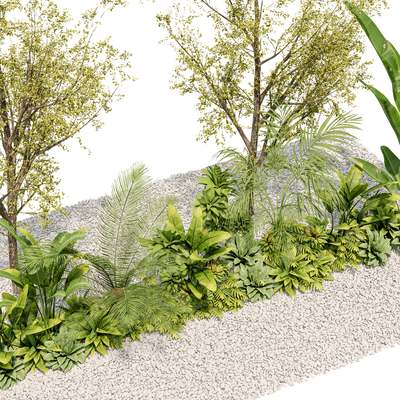  庭院植物 热带植物su模型 