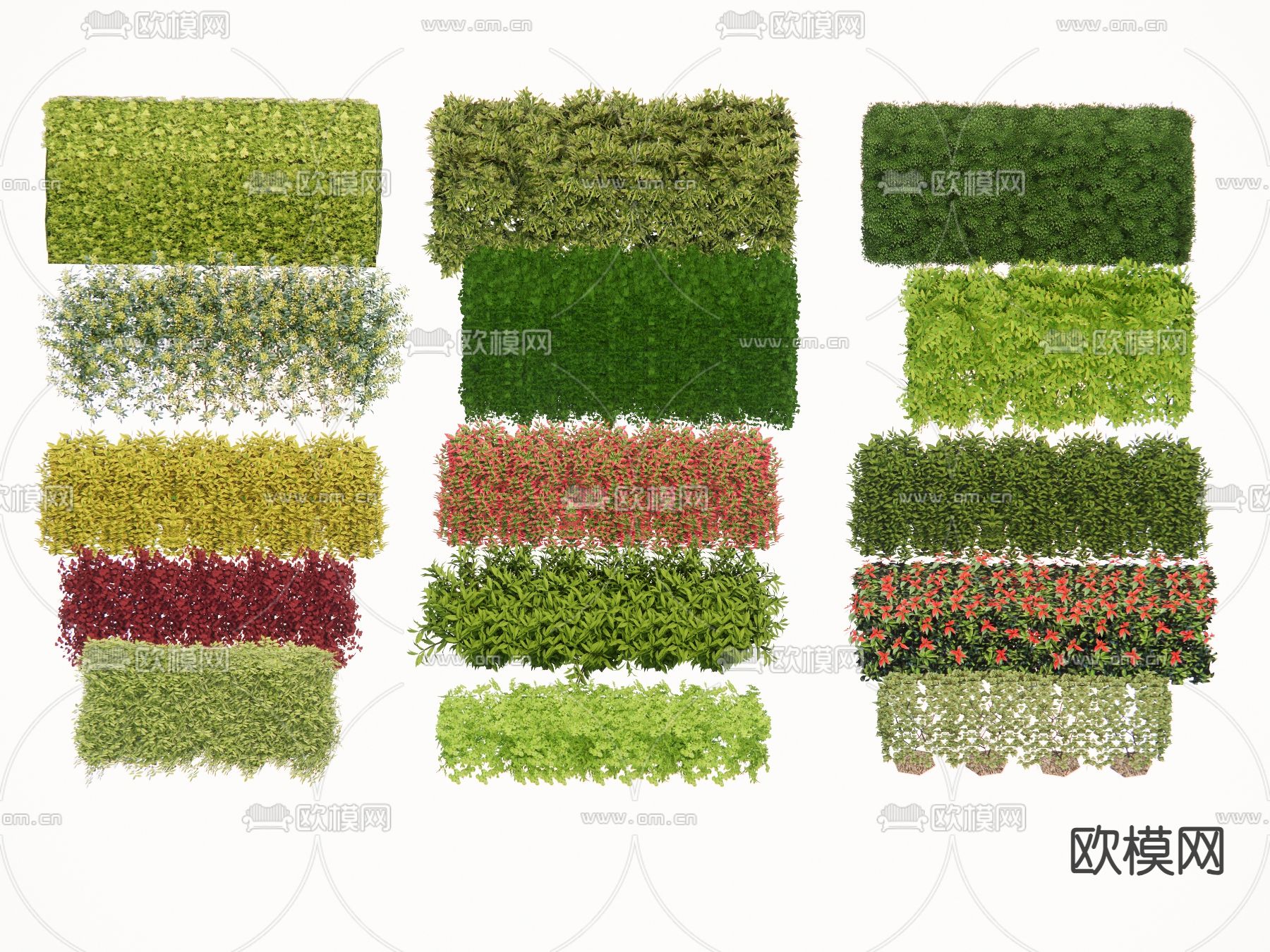 植物篱墙 灌木丛su模型下载（渲染图1）