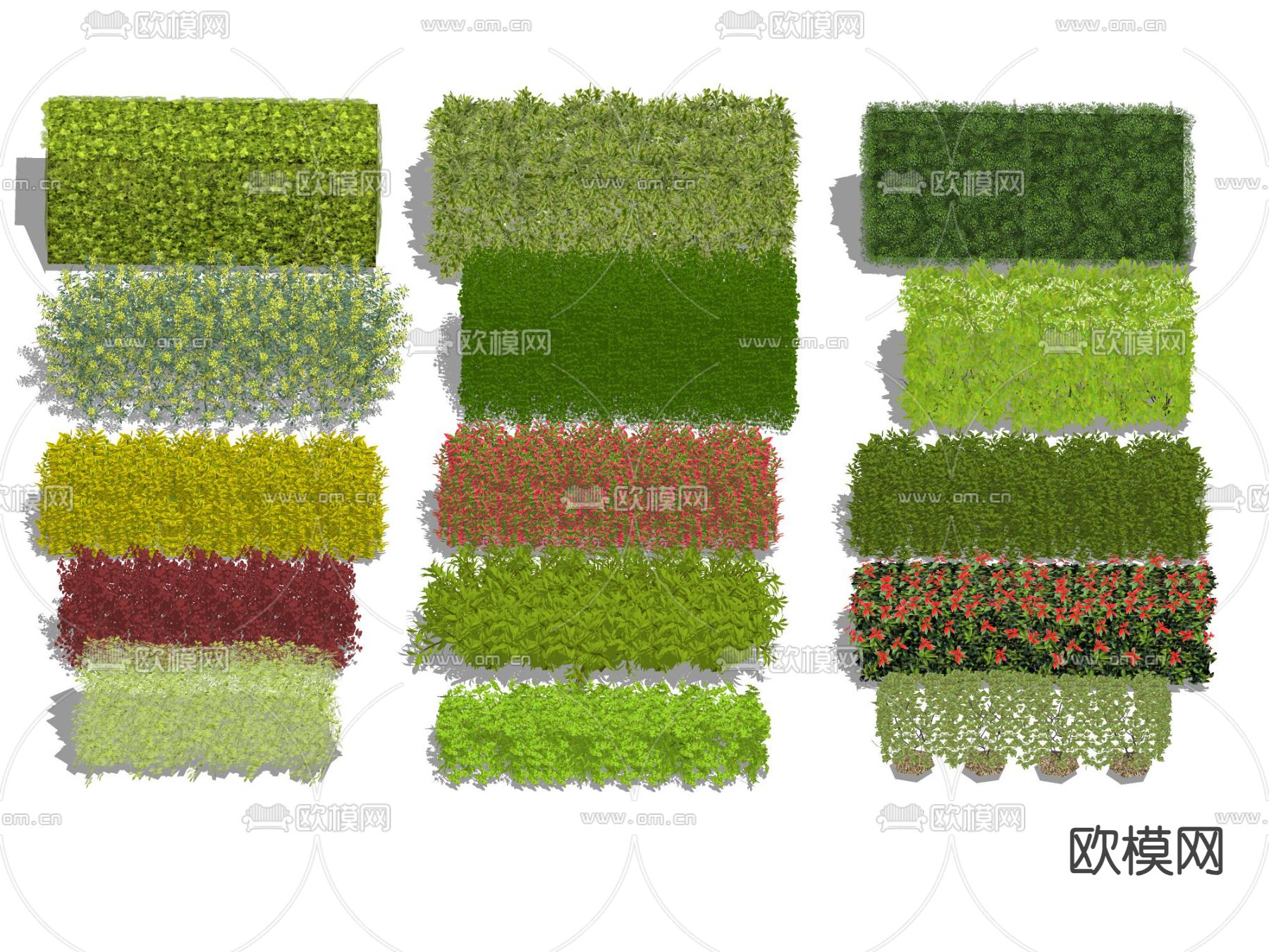 植物篱墙 灌木丛su模型下载（渲染图2）