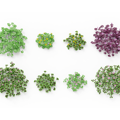  植物花草su模型 