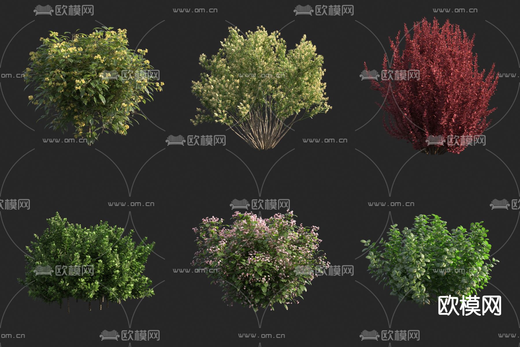灌木球 绿篱 红叶3d模型下载
