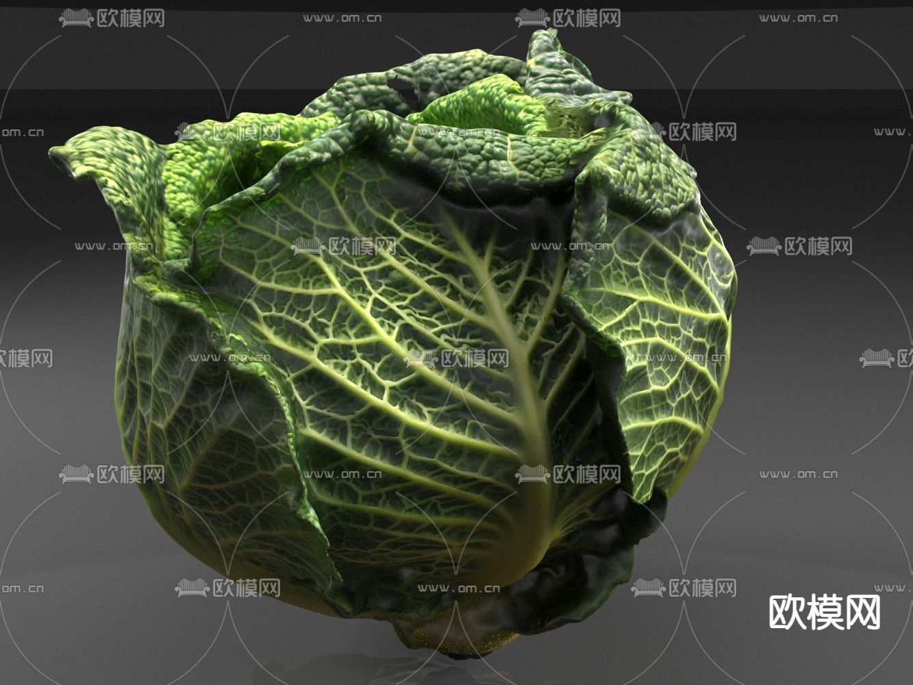 白菜 蔬菜 卷菜3d模型下载（渲染图2）