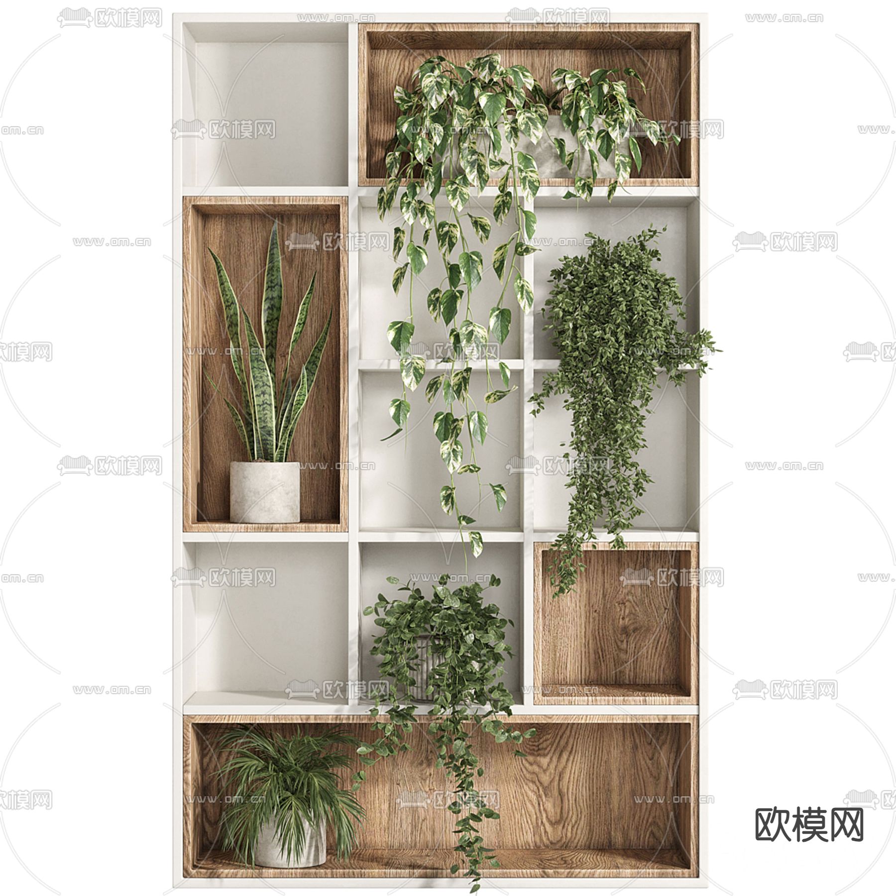 植物盆栽 绿萝 吊兰3d模型下载（渲染图1）