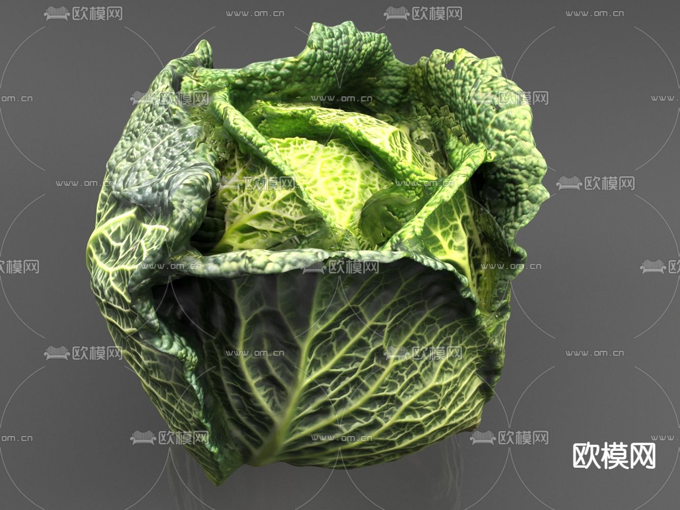 白菜 蔬菜 卷菜3d模型下载（渲染图1）