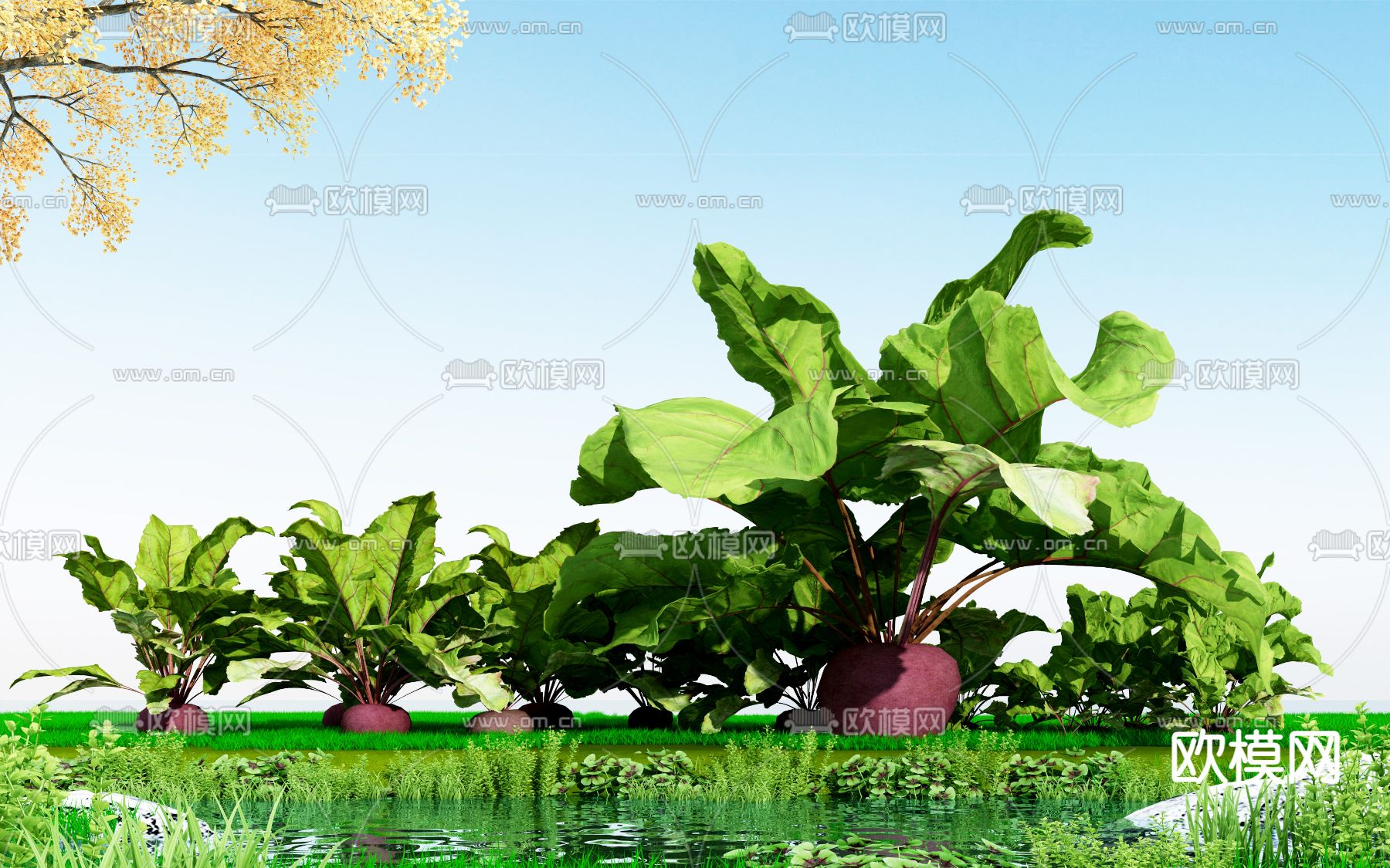 农作物 萝卜3d模型下载