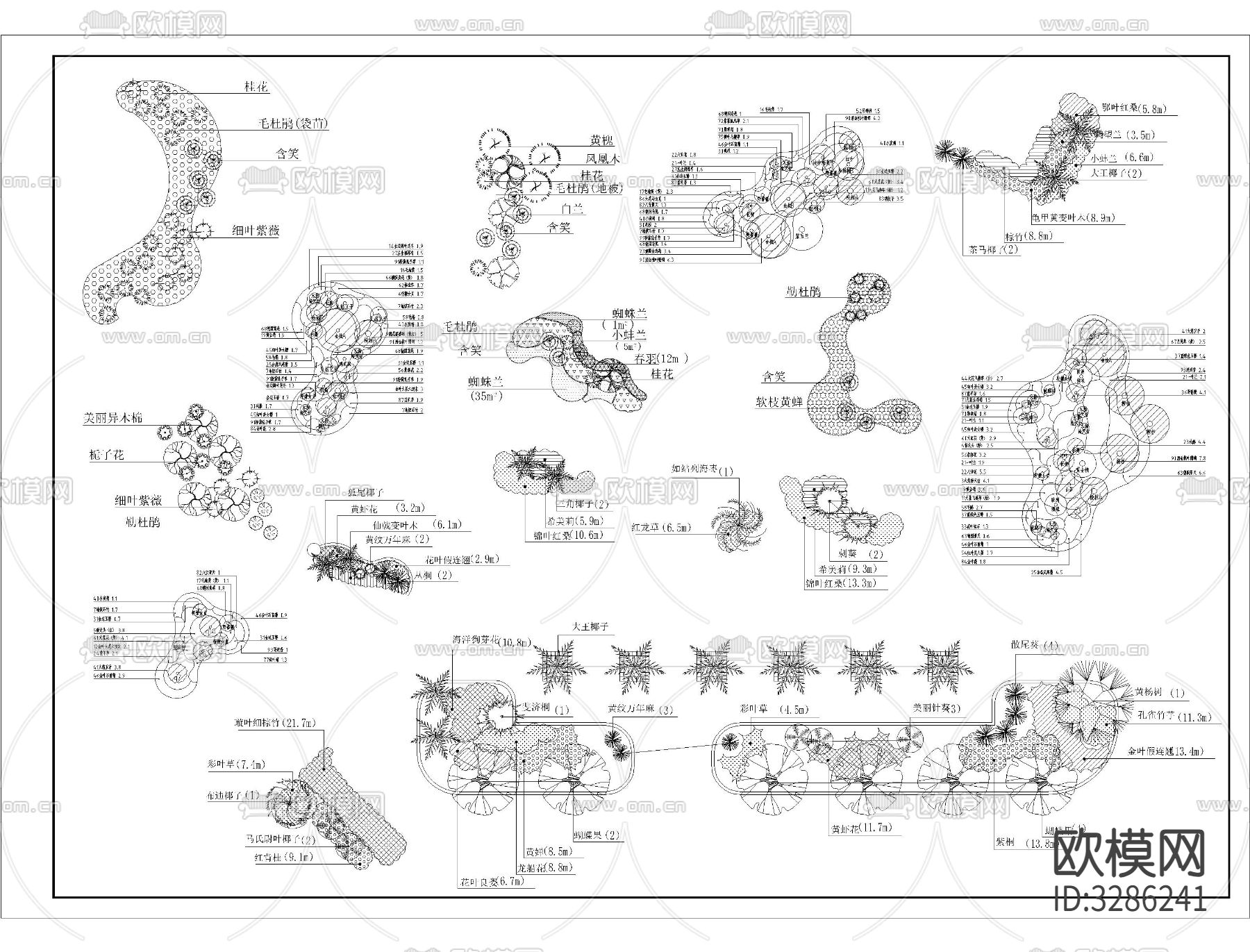 植物组团搭配cad施工图下载（渲染图5）