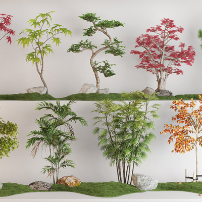  枫叶树 红枫树su模型 