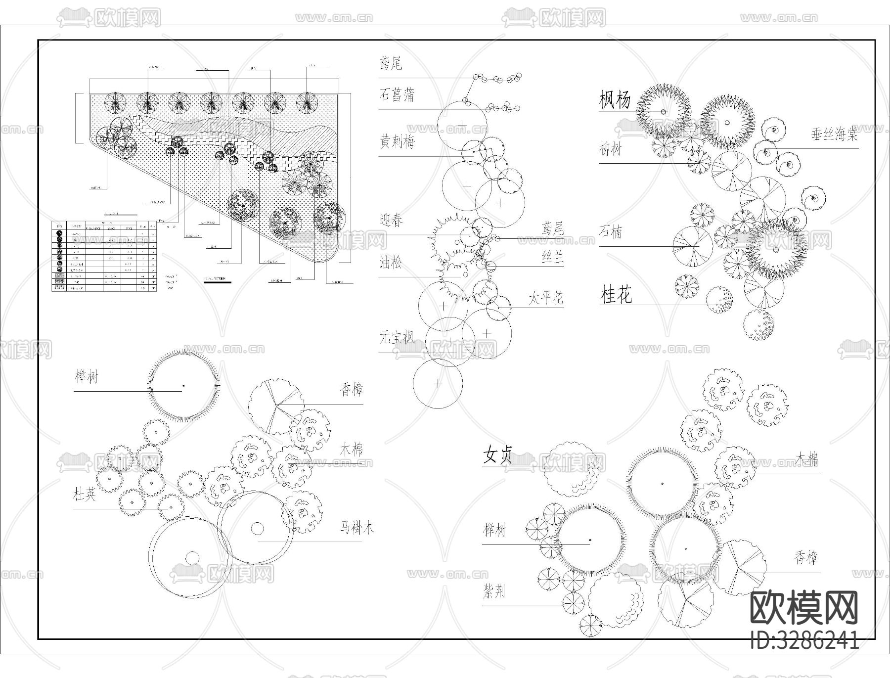 植物组团搭配cad施工图下载（渲染图3）