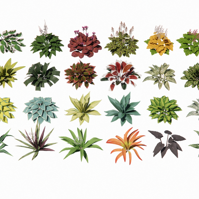  景观草 观赏草su模型 