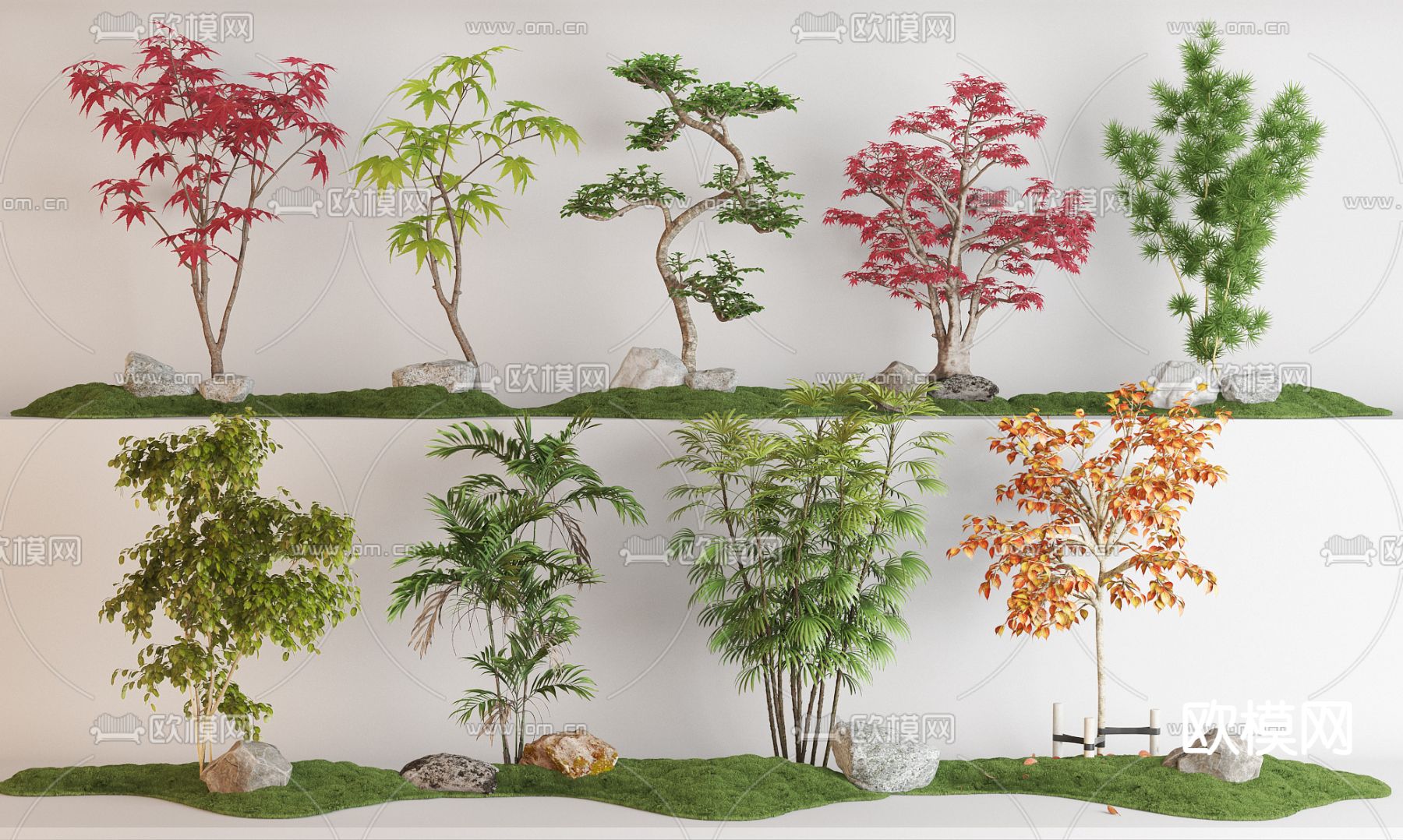 枫叶树 红枫树su模型下载（渲染图2）