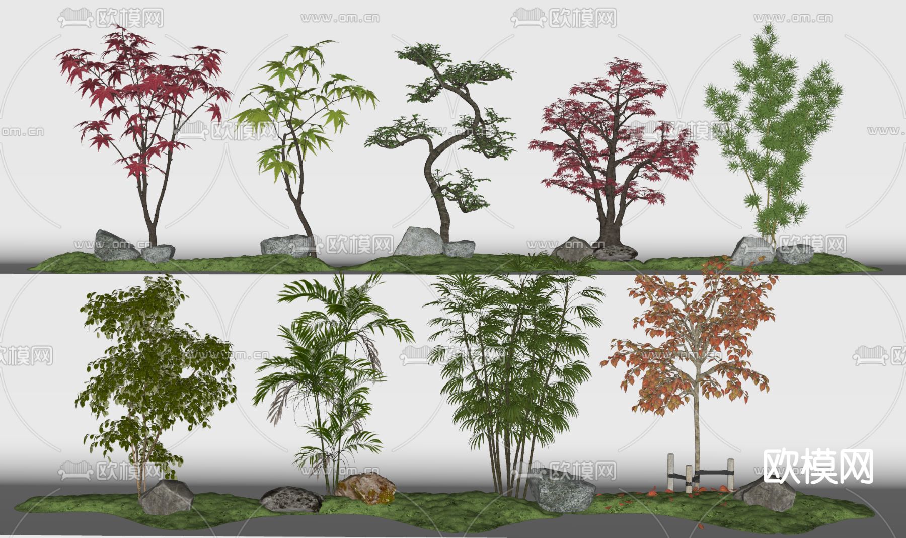 枫叶树 红枫树su模型下载（渲染图1）