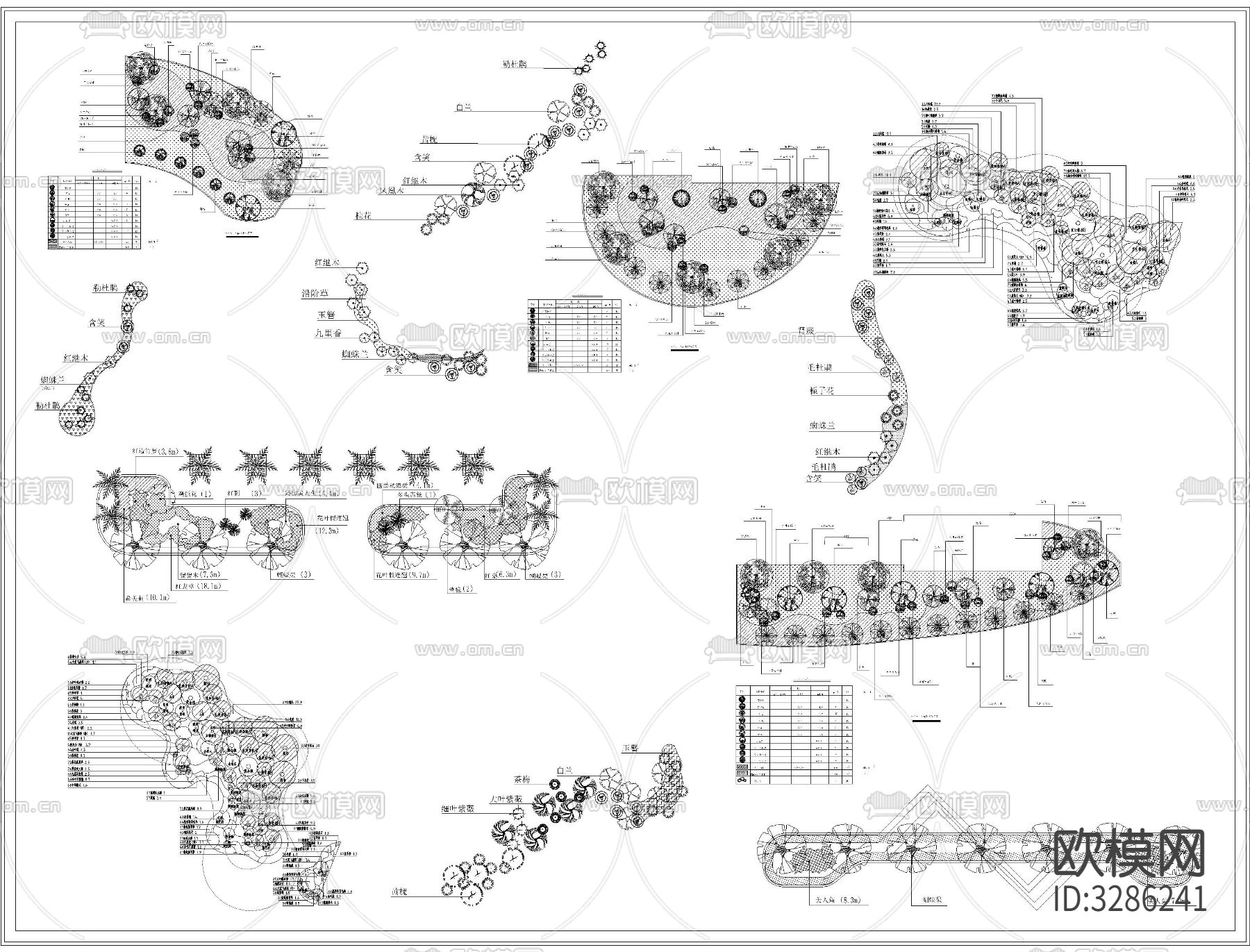 植物组团搭配cad施工图下载（渲染图6）