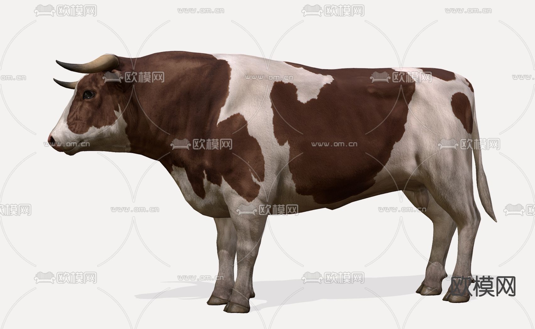 养殖场大奶牛3d模型下载（渲染图2）