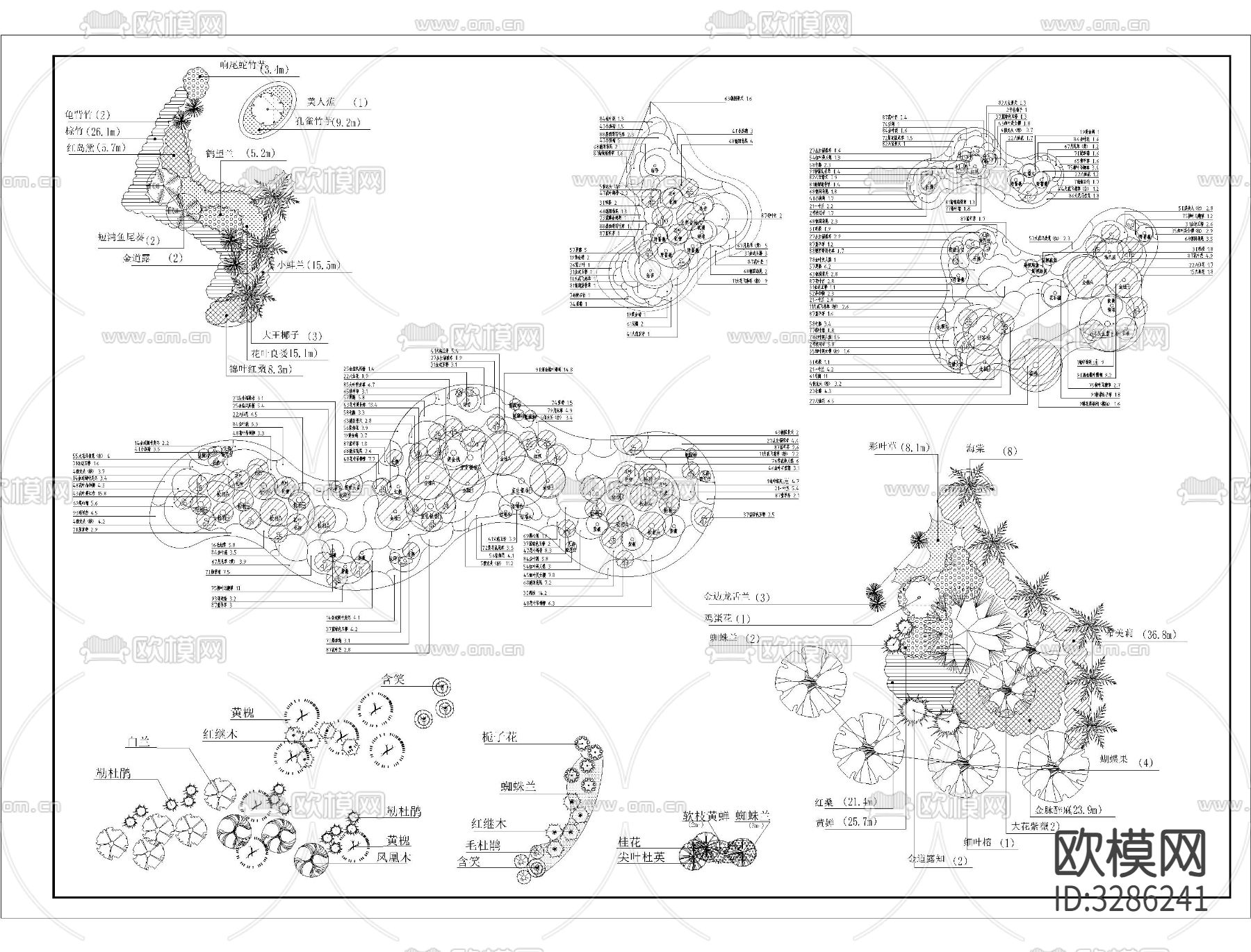 植物组团搭配cad施工图下载（渲染图1）