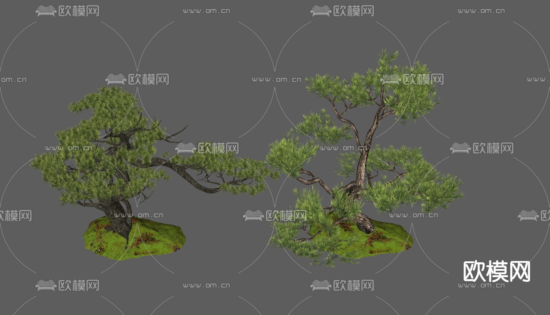 松树 罗汉松 迎客松 景观树 造型树 观赏树su模型下载（渲染图1）