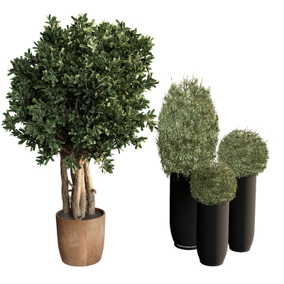  植物绿植 植物球 植物堆su模型 