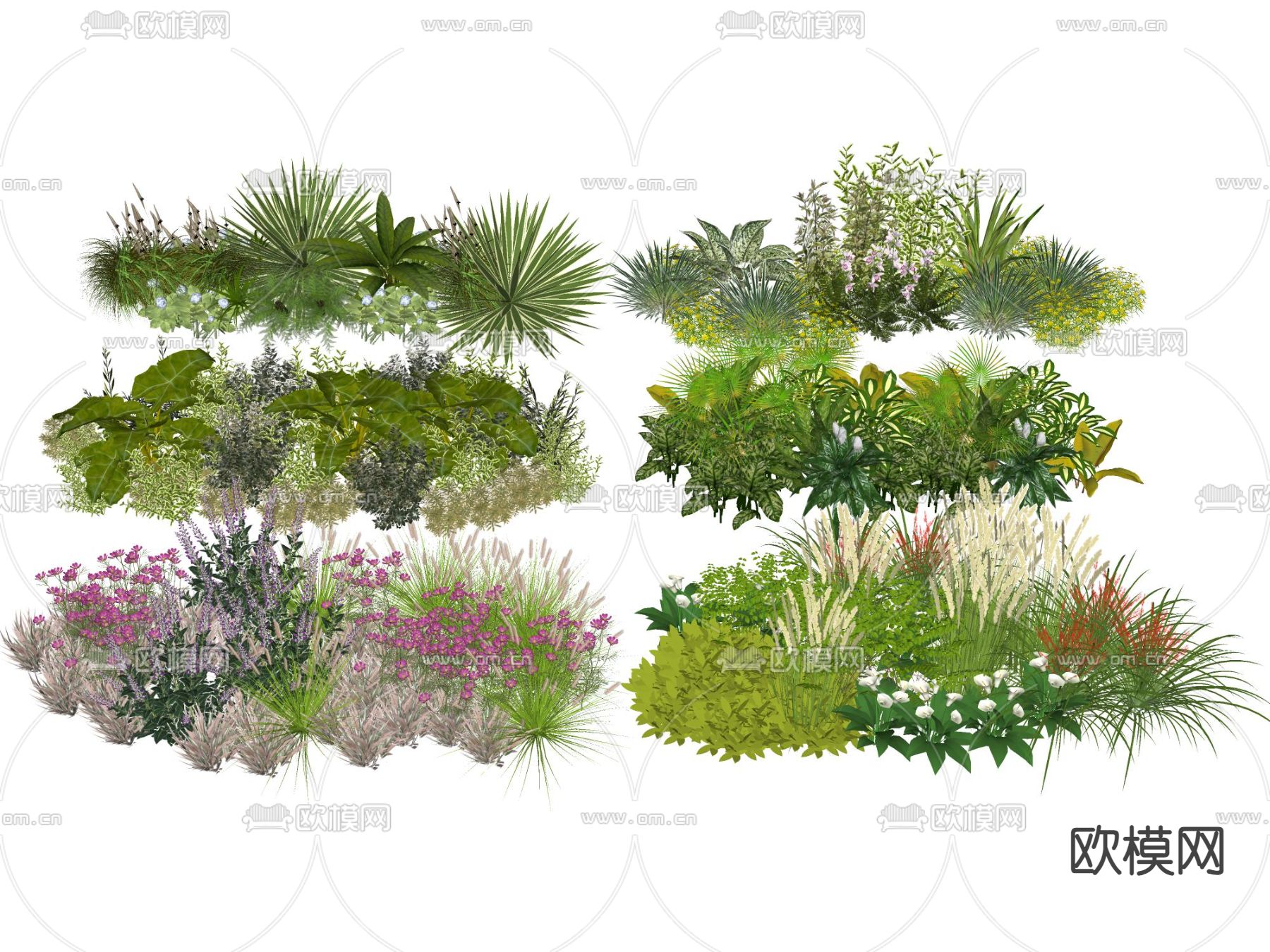 灌木花丛 花境草su模型下载（渲染图1）