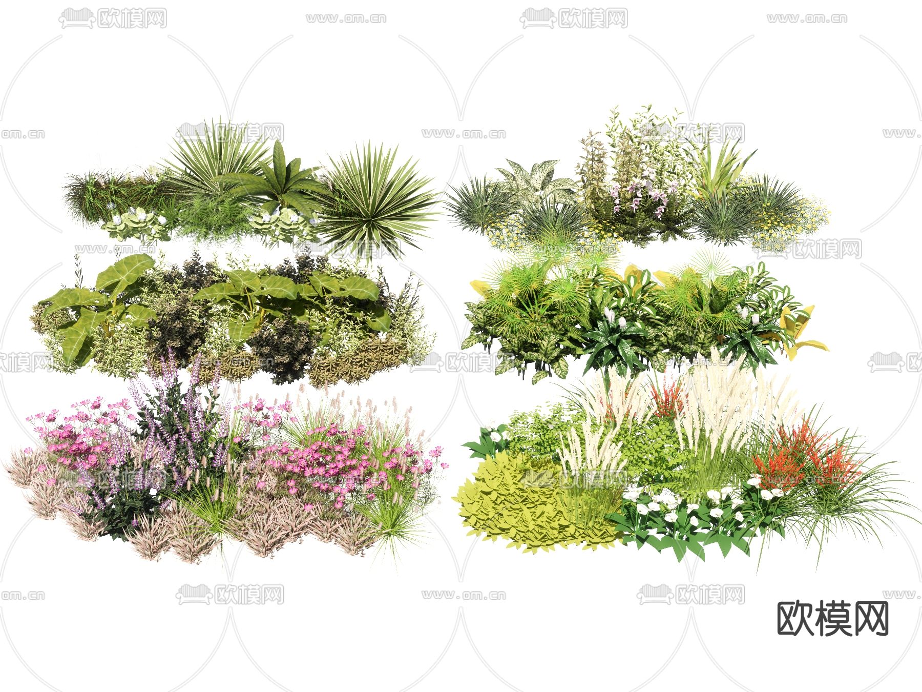 灌木花丛 花境草su模型下载（渲染图2）