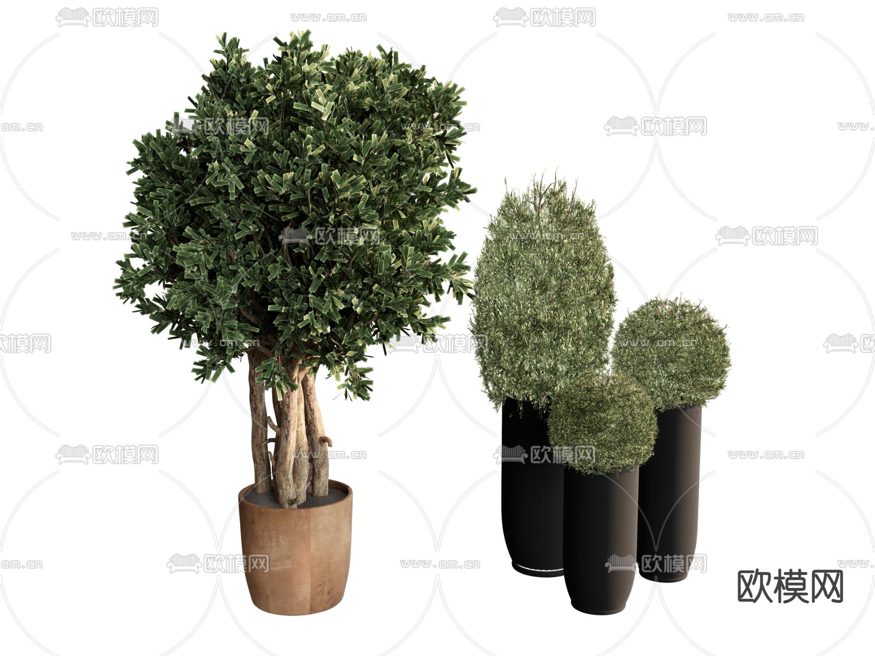 植物绿植 植物球 植物堆su模型下载（渲染图2）