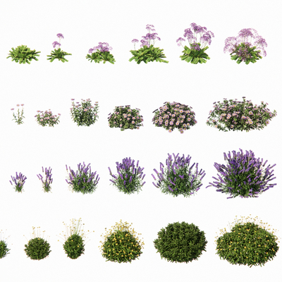  景观花草 鲜花su模型 