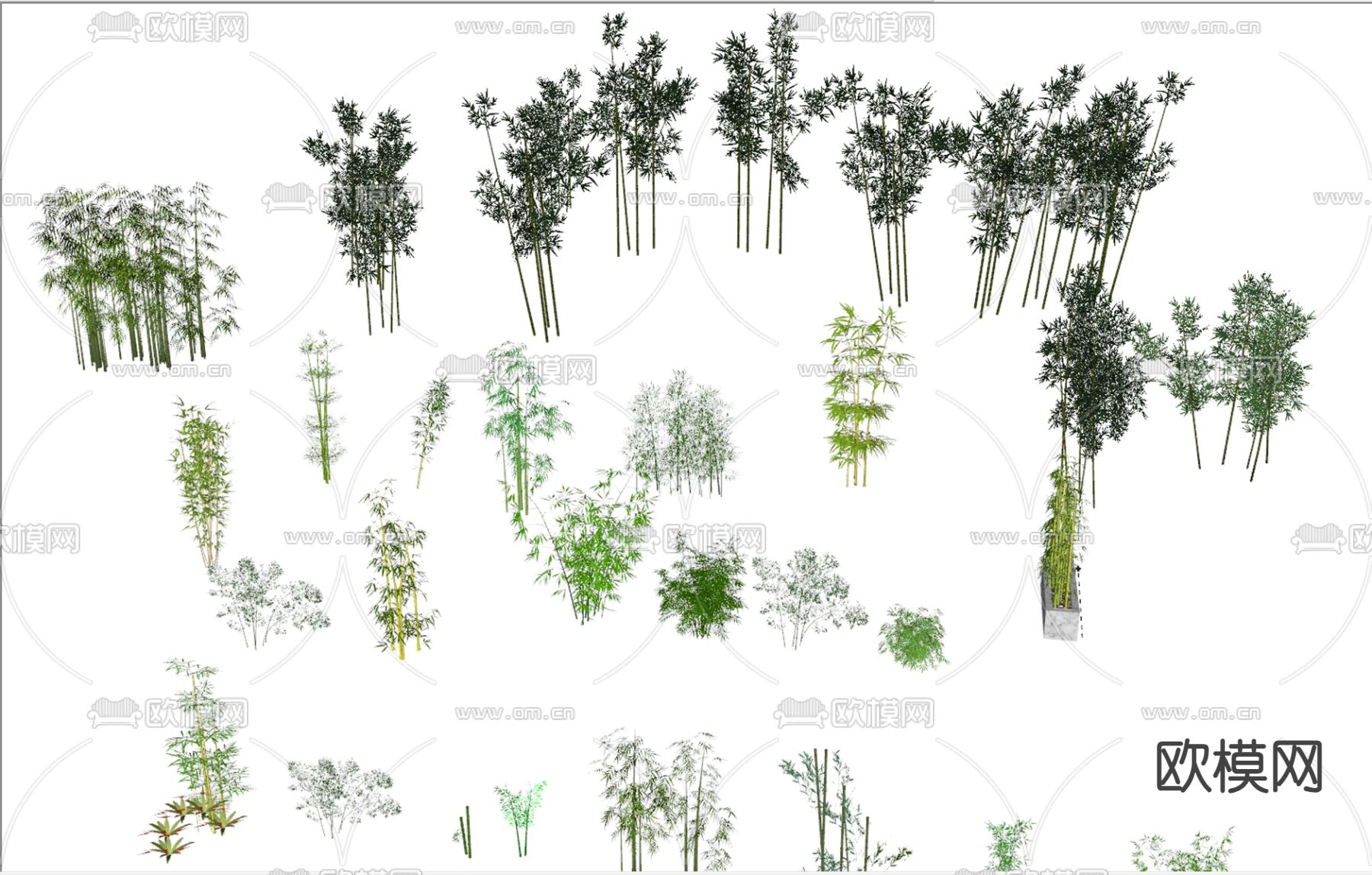 园林植物 竹子su模型下载