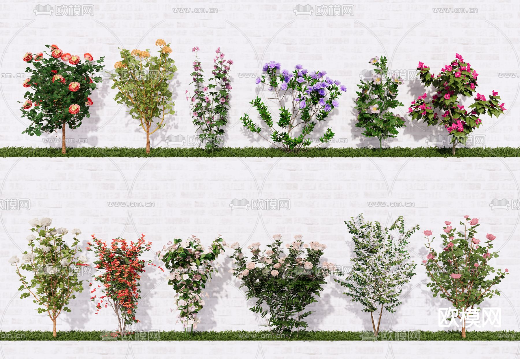 现代庭院绿植 花草 灌木su模型下载（渲染图2）