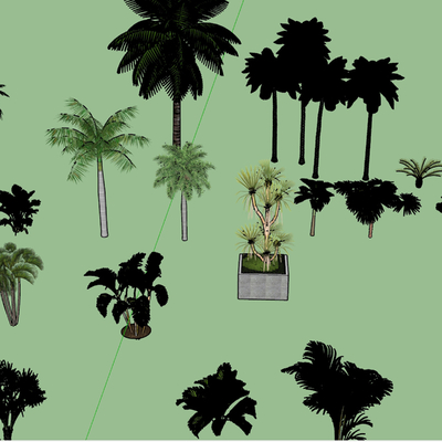  园林植物 棕榈树su模型 