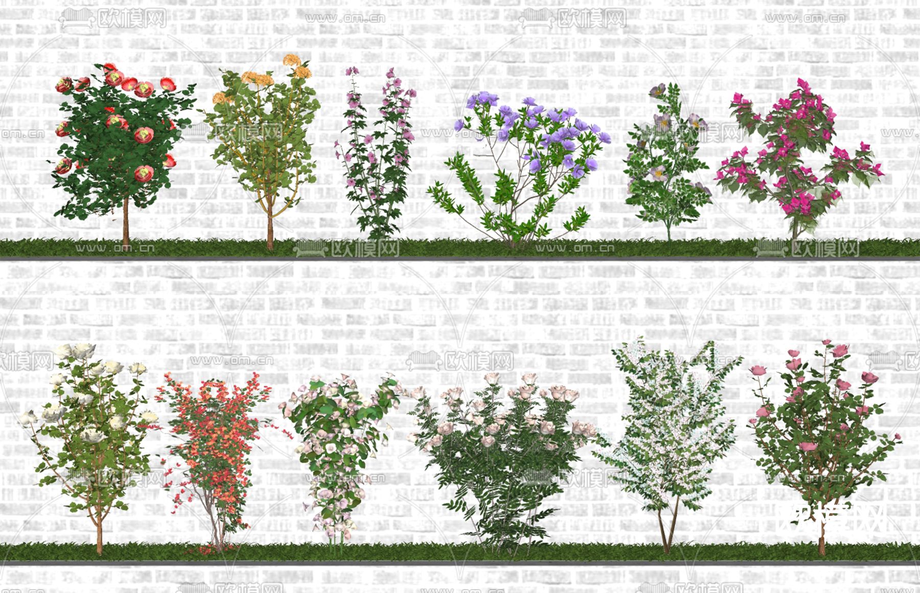 现代庭院绿植 花草 灌木su模型下载（渲染图1）