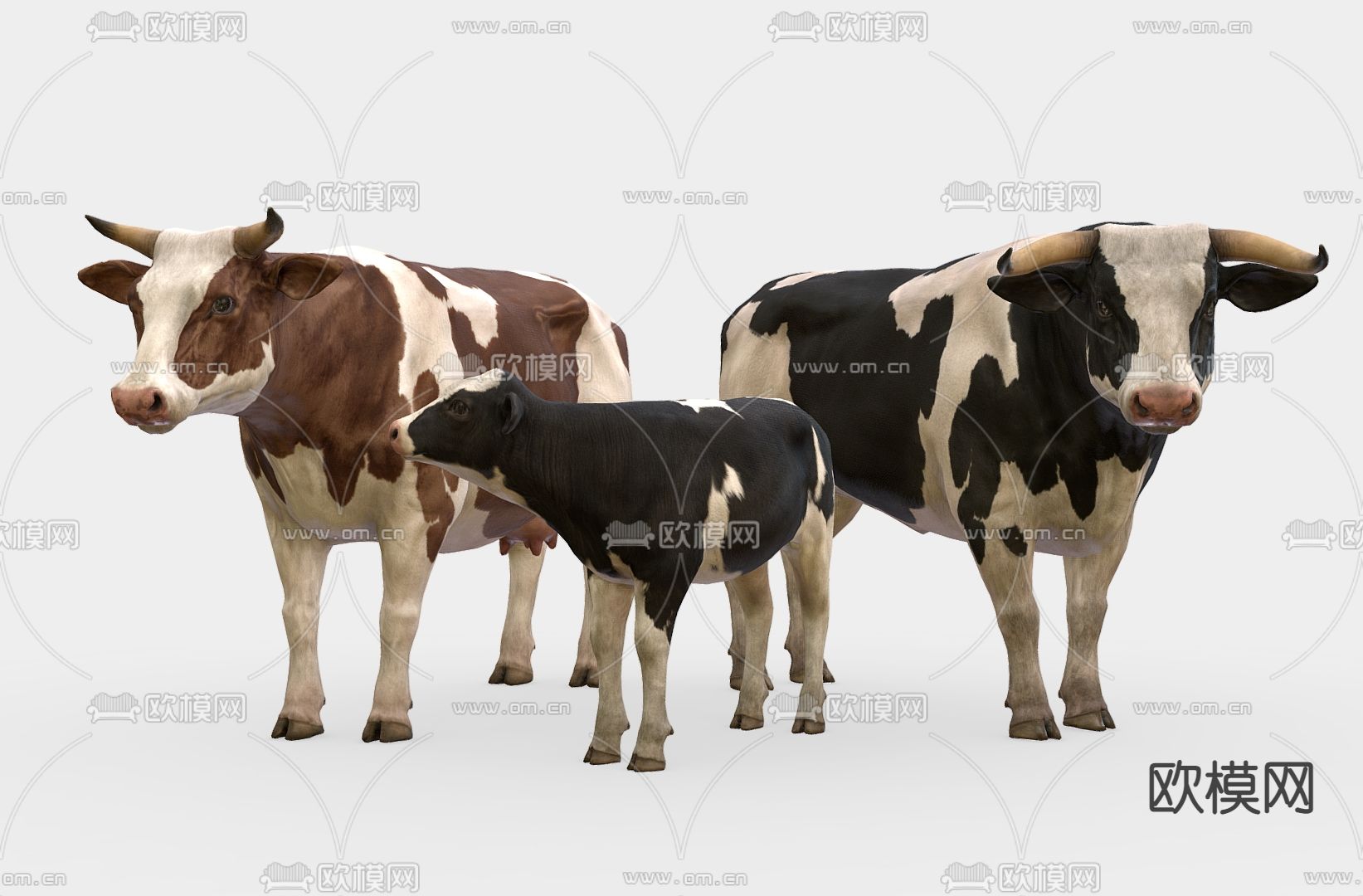 养殖场奶牛 家禽动物su模型下载（渲染图2）