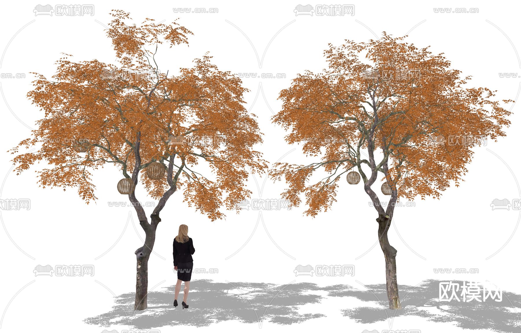 红枫树 景观树su模型下载（渲染图1）