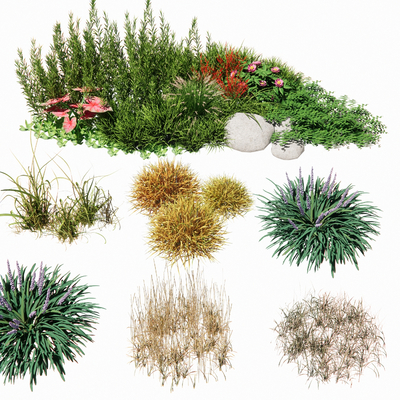  植物地被 花卉草坪su模型 