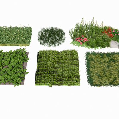  植物地被 花卉草坪su模型 