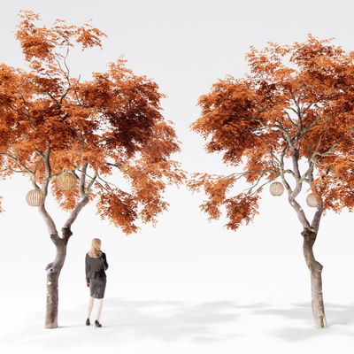  红枫树 景观树su模型 