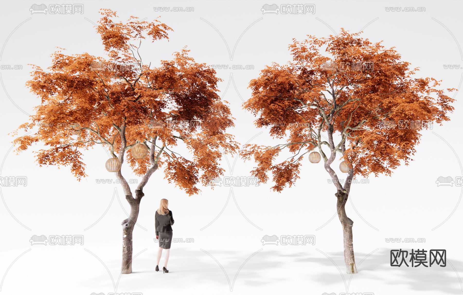 红枫树 景观树su模型下载（渲染图2）