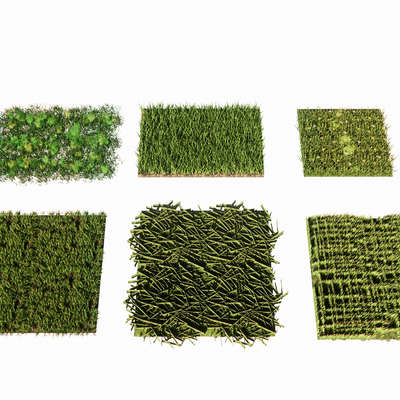  植物地被 花卉草坪su模型 