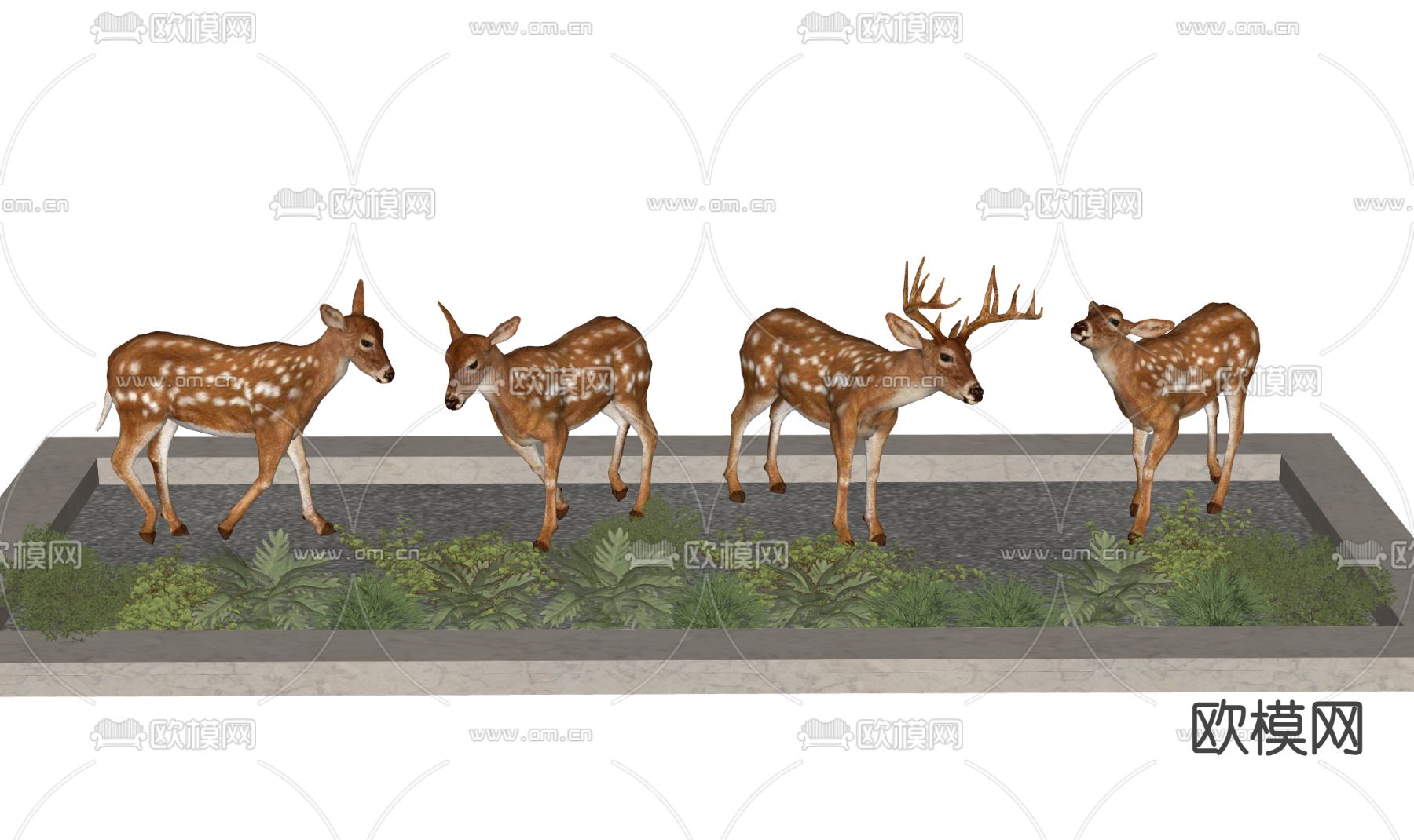 小鹿 梅花鹿 公鹿su模型下载（渲染图1）