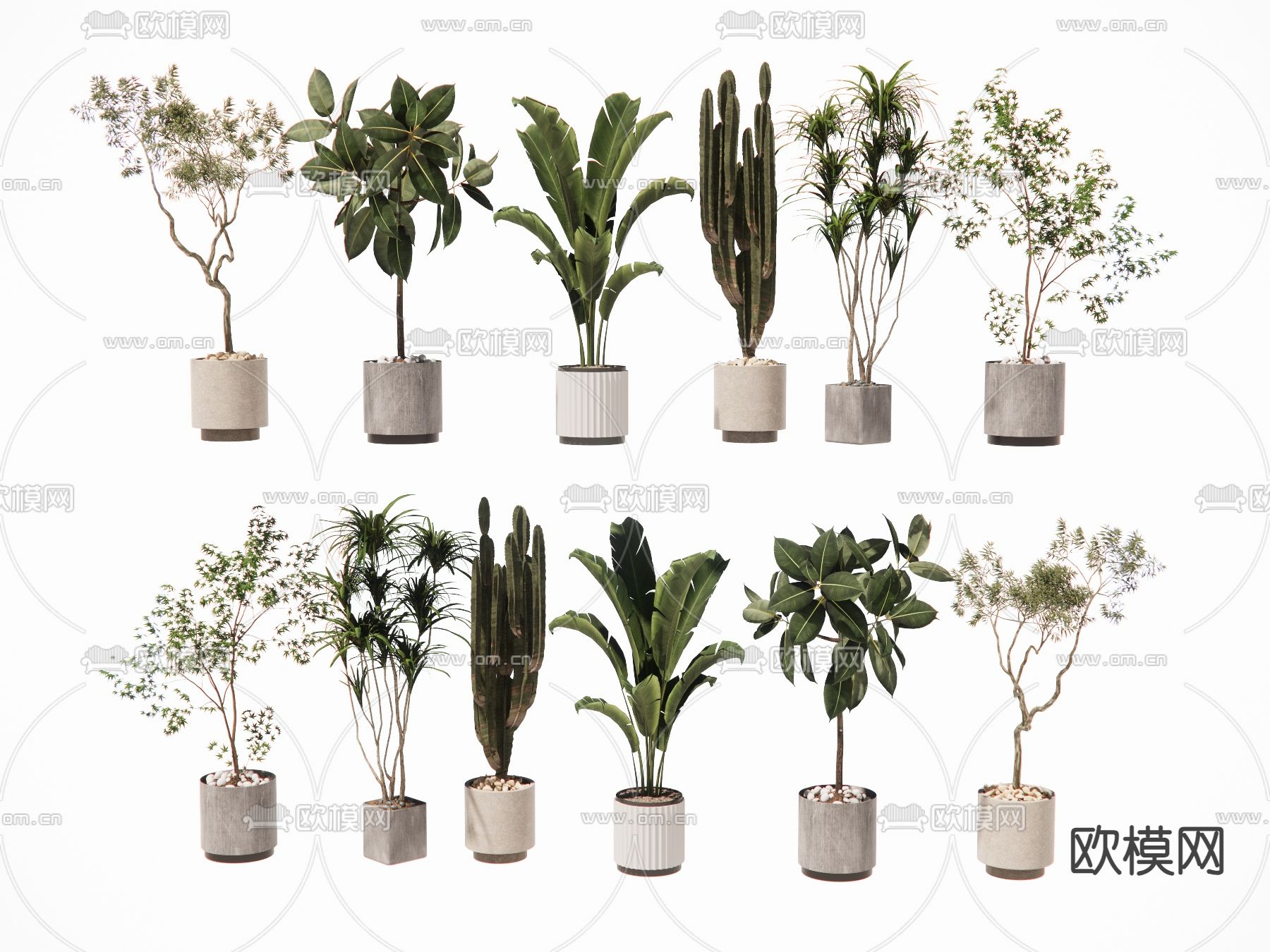 盆栽 盆景su模型下载（渲染图2）