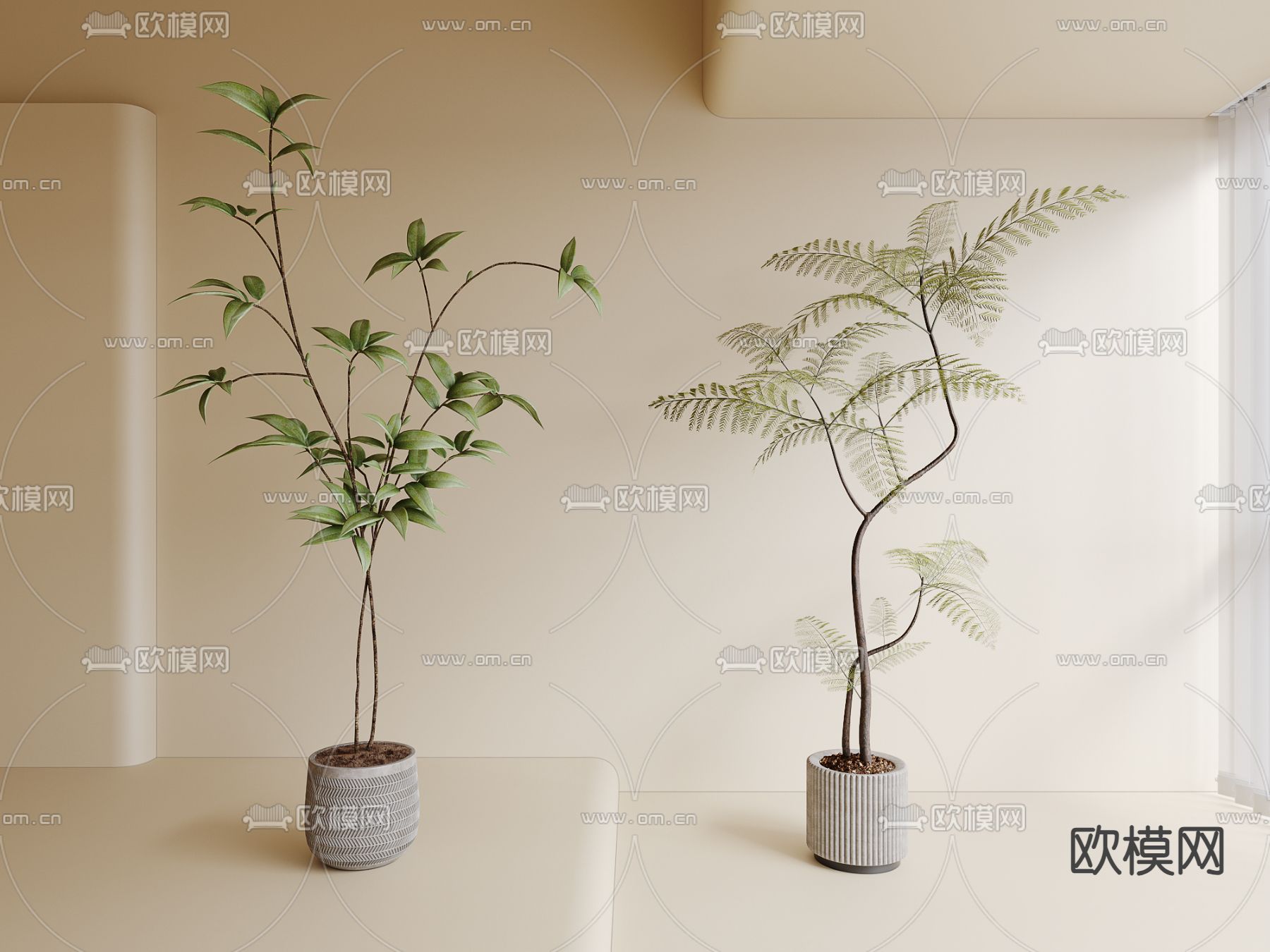 绿植盆栽 蕨类盆栽3d模型下载