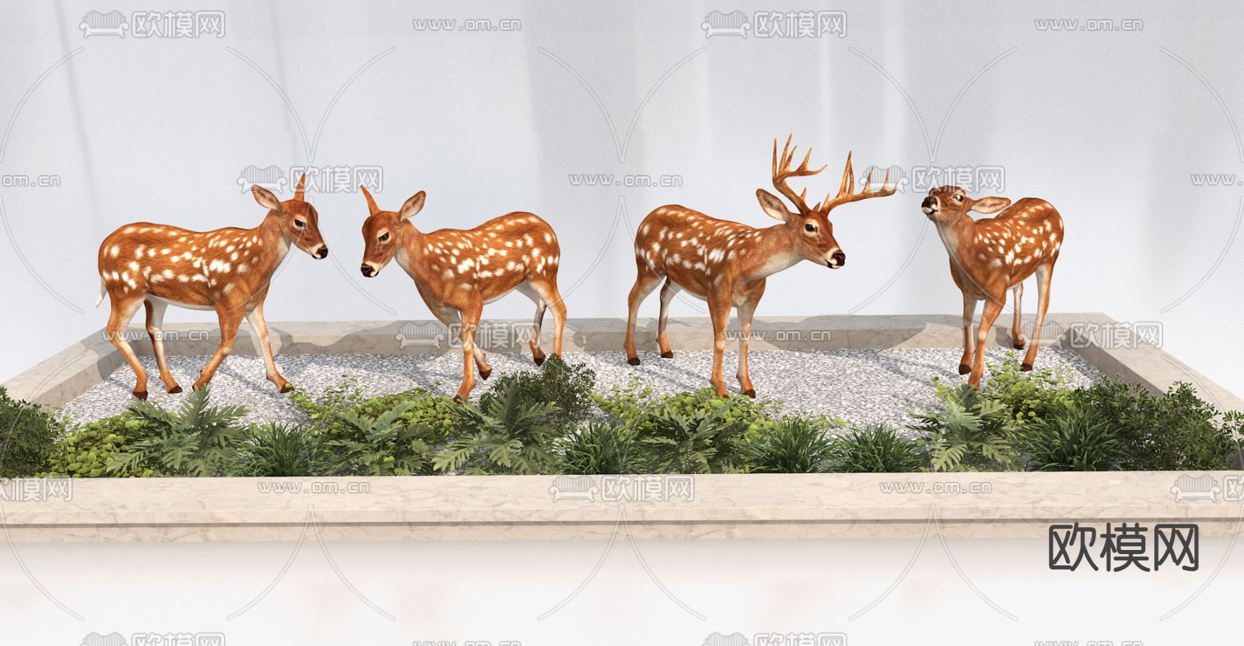 小鹿 梅花鹿 公鹿su模型下载（渲染图2）