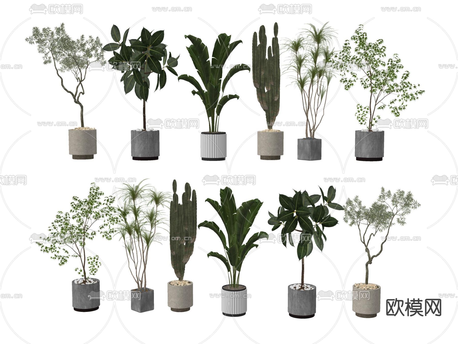 盆栽 盆景su模型下载（渲染图1）