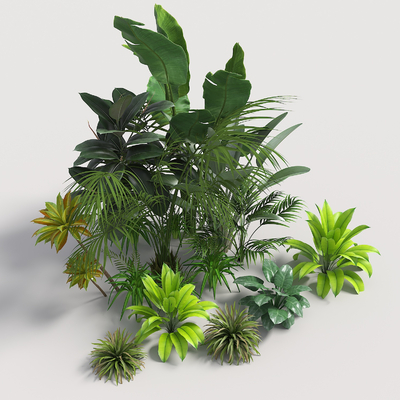  地被灌木 庭院植物su模型 