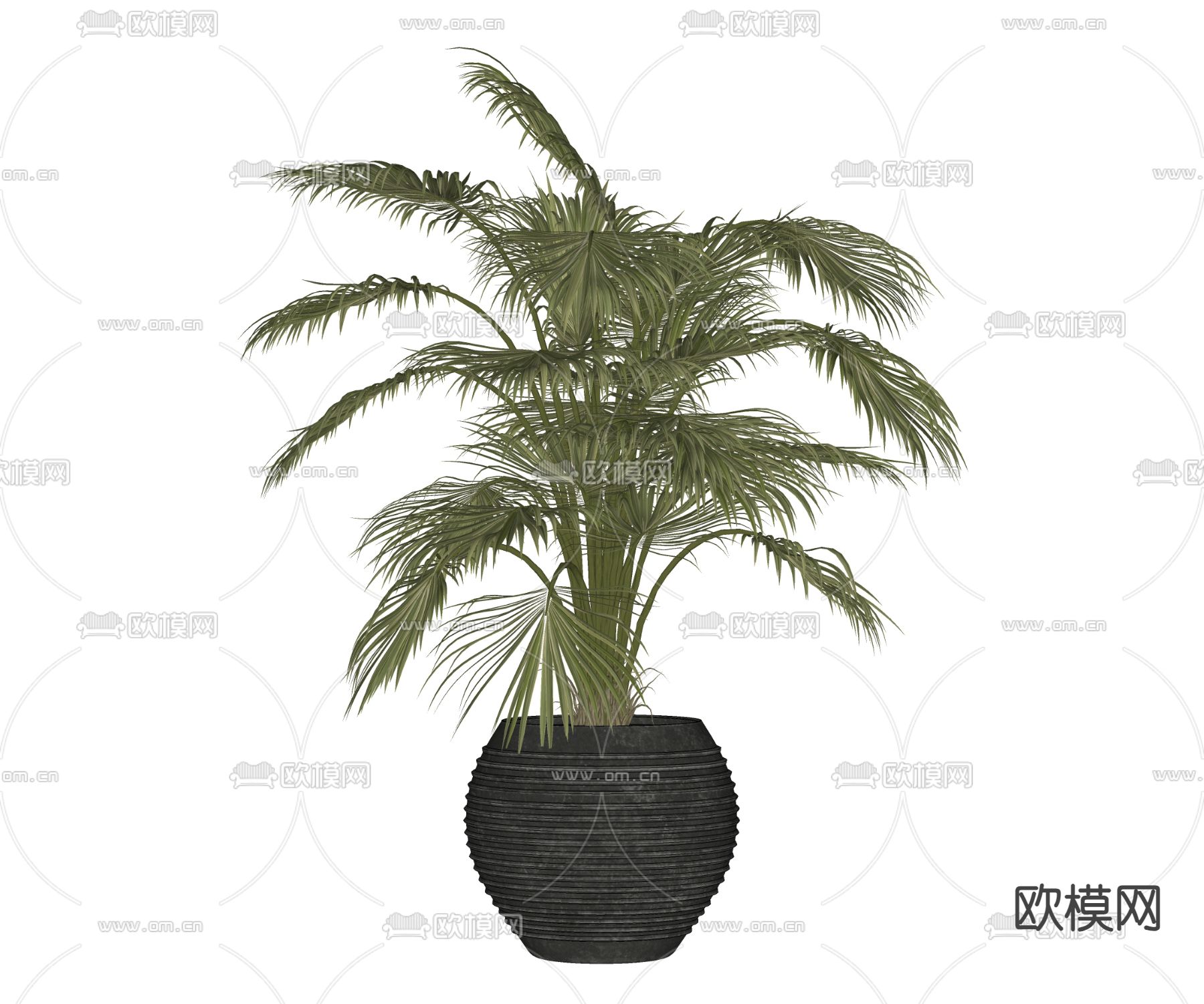 植物 盆栽su模型