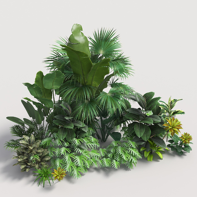  地被灌木 庭院植物su模型 