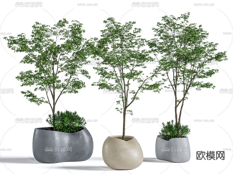 植物盆栽3d模型下载